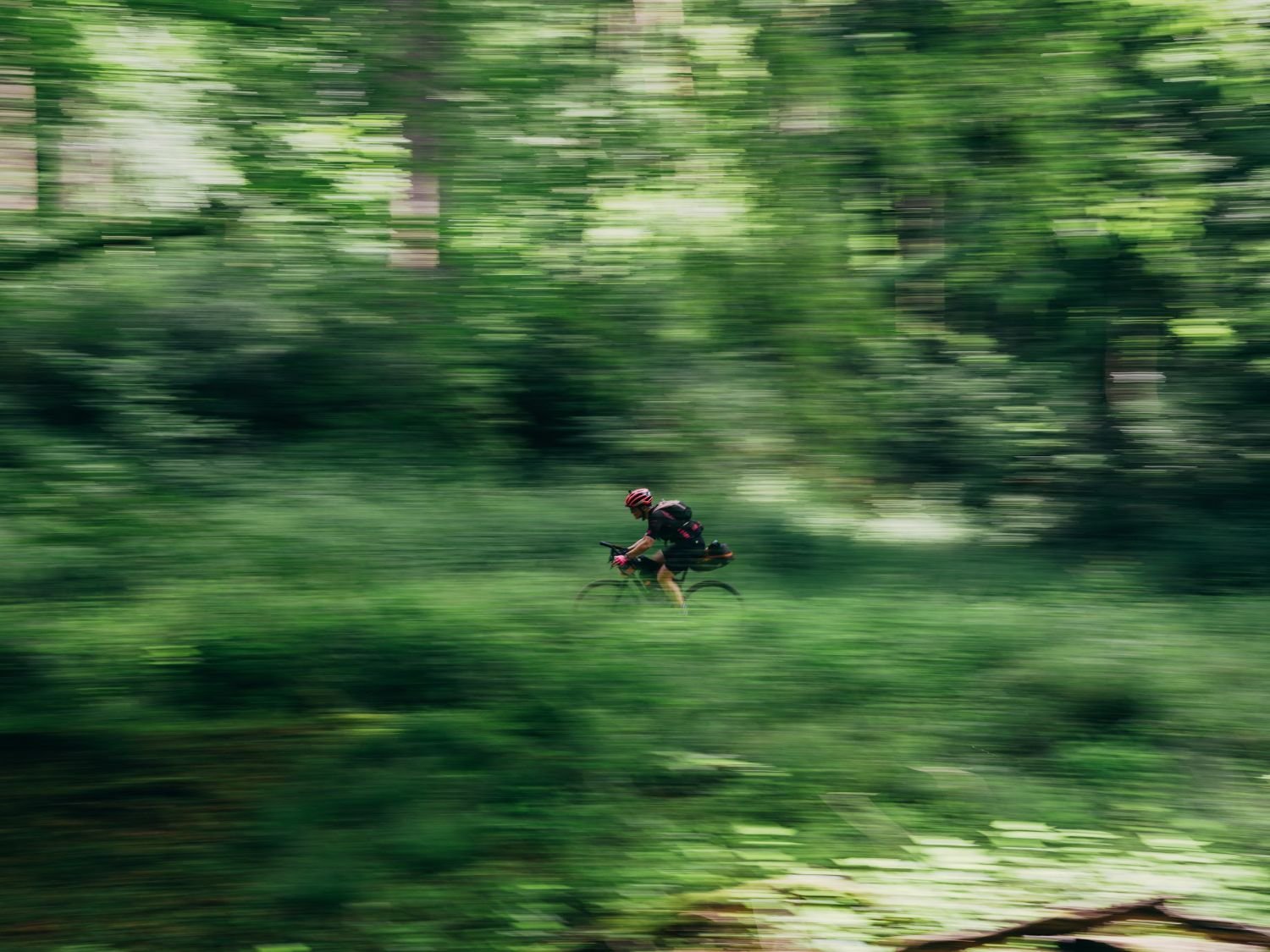 Rider through the Sonian Forest